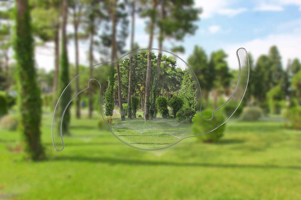 Grüner Park mit Bäumen, scharfe Sicht durch simulierte Linse, unscharfe Umgebung. Symbolisiert Sehkorrektur.