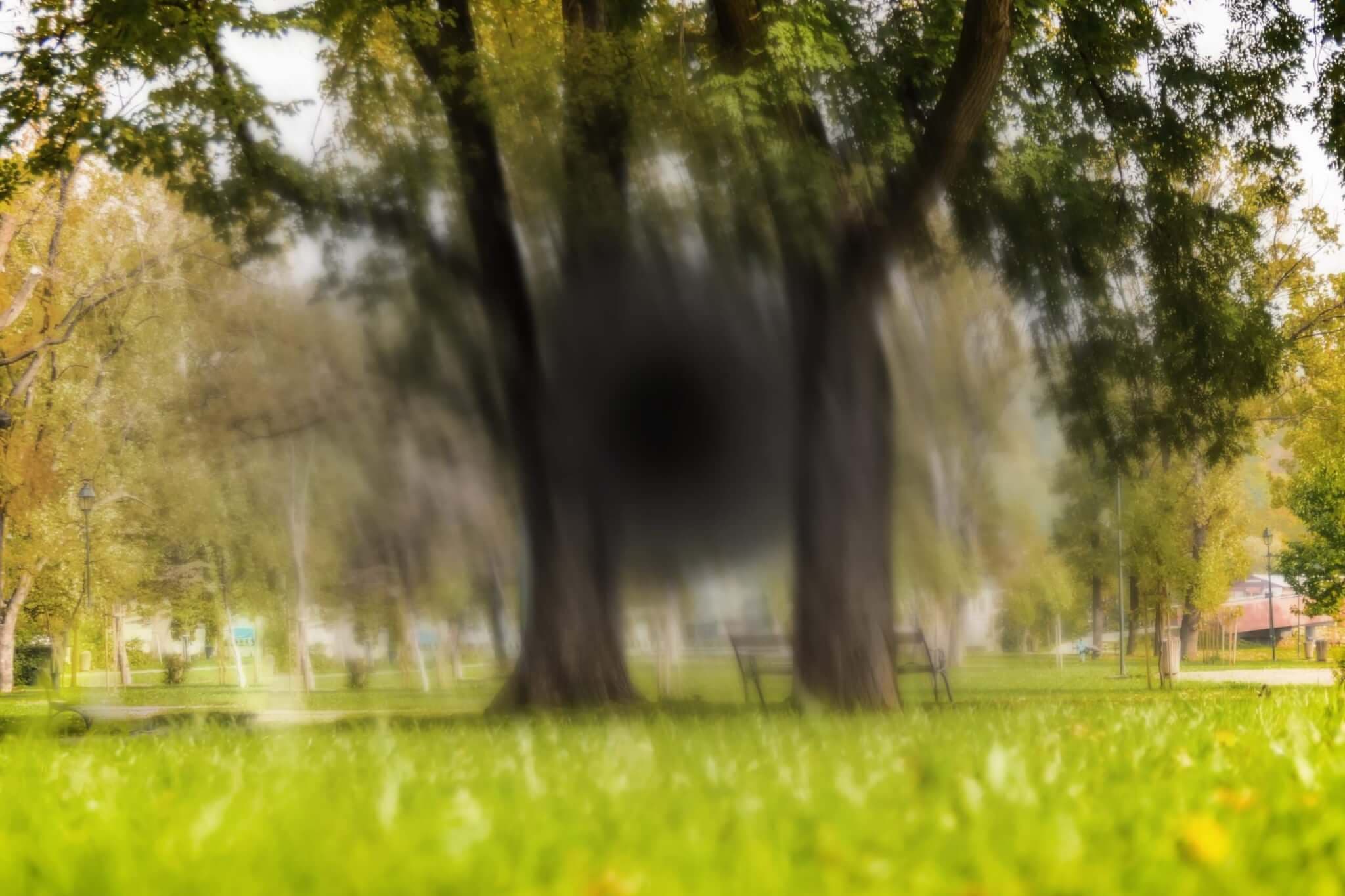 Schwarzer Punkt aus Ego perspektive, dahinter ein Baum auf einem Feld